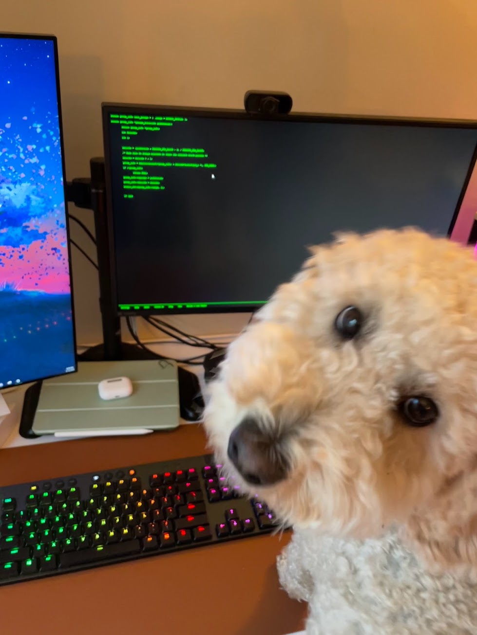 Computer