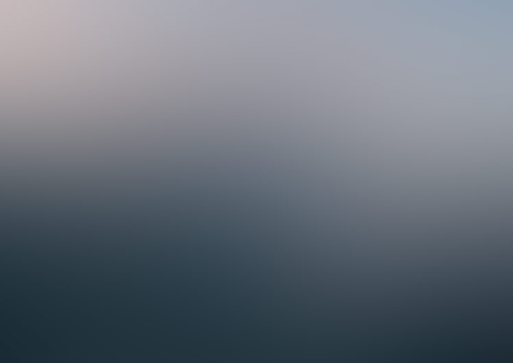 Plant Watering System